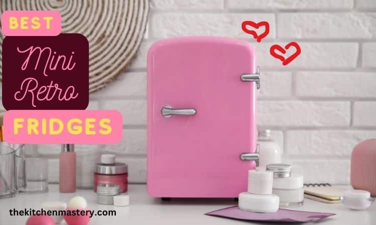 best mini retro refrigerators